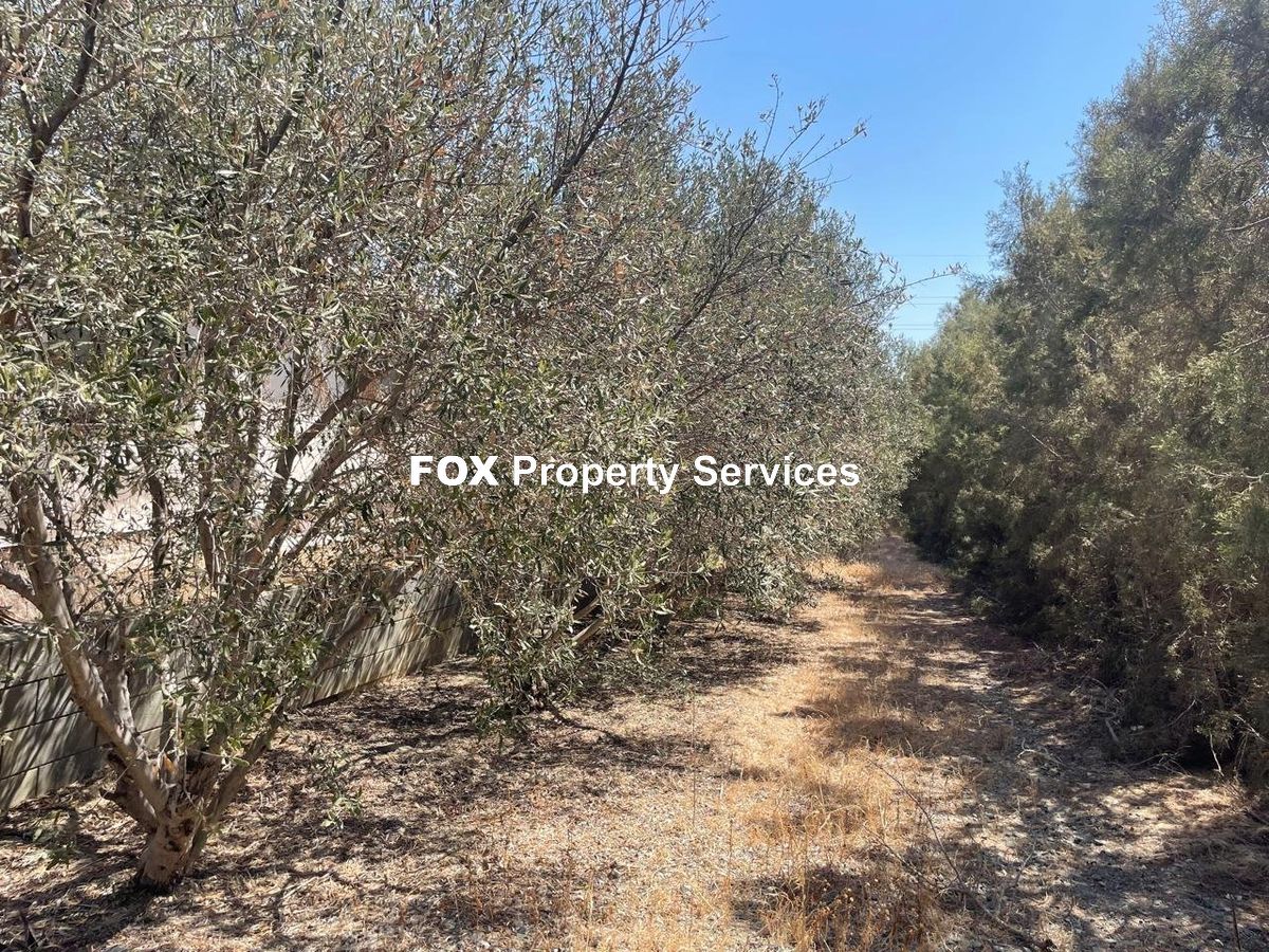 2 Bedroom Bungalow for Sale in Larnaca, Kalo Chorio